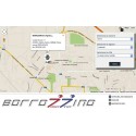 BORROZZINO G & FIGLI SNC